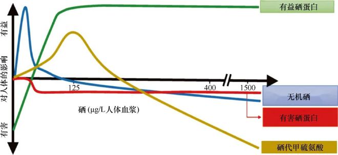 自己做孕期补硒