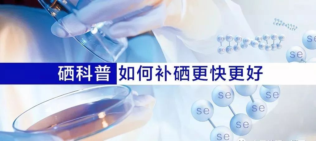 补硒哪种硒片好