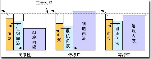 补钠公式计算公式