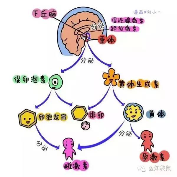 补硒与乳腺增生