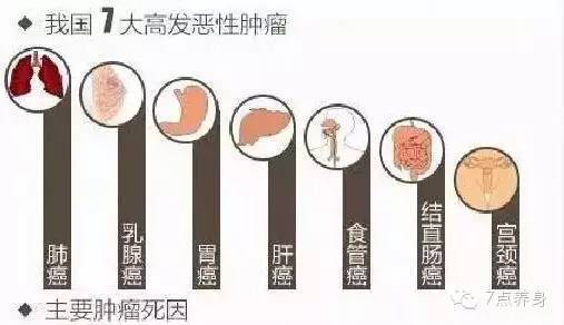 补硒的身体反应