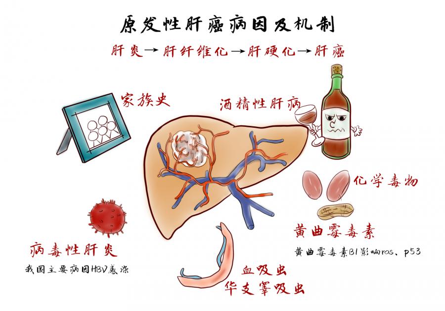 补硒的身体反应