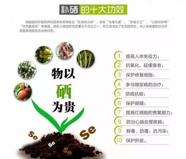 补硒的国家文件