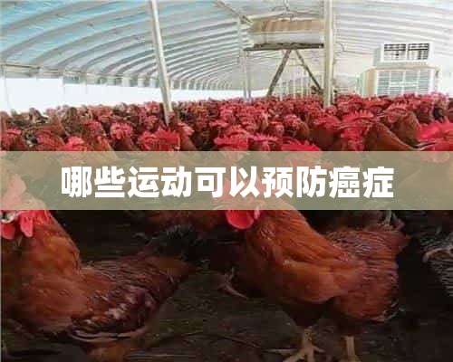 哪些运动可以预防癌症
