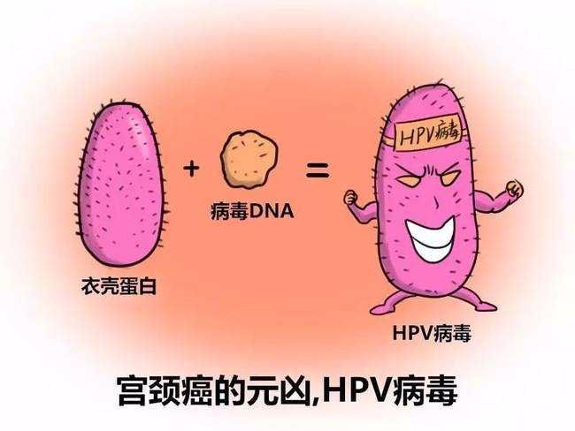 女性每天补硒量