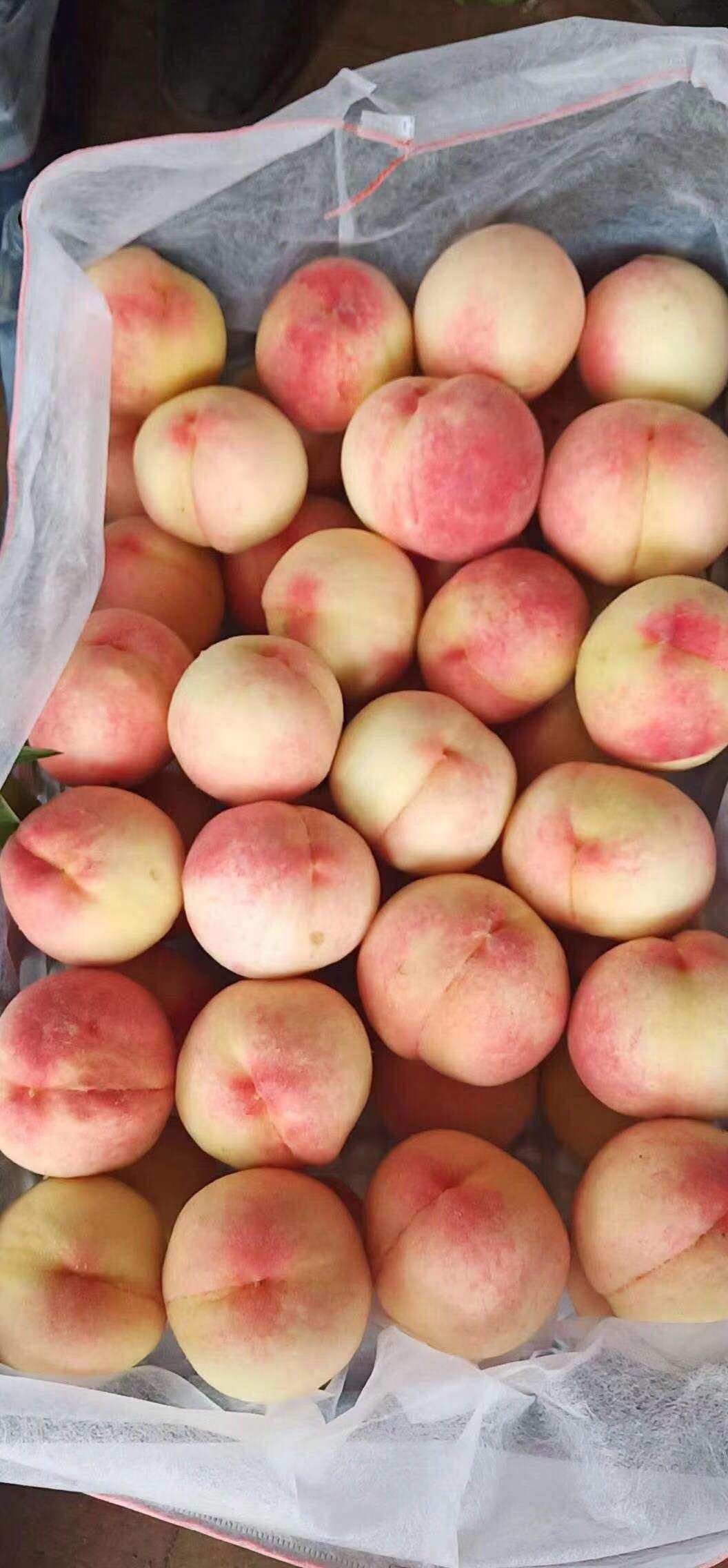 婴儿补铁吃什么食物好