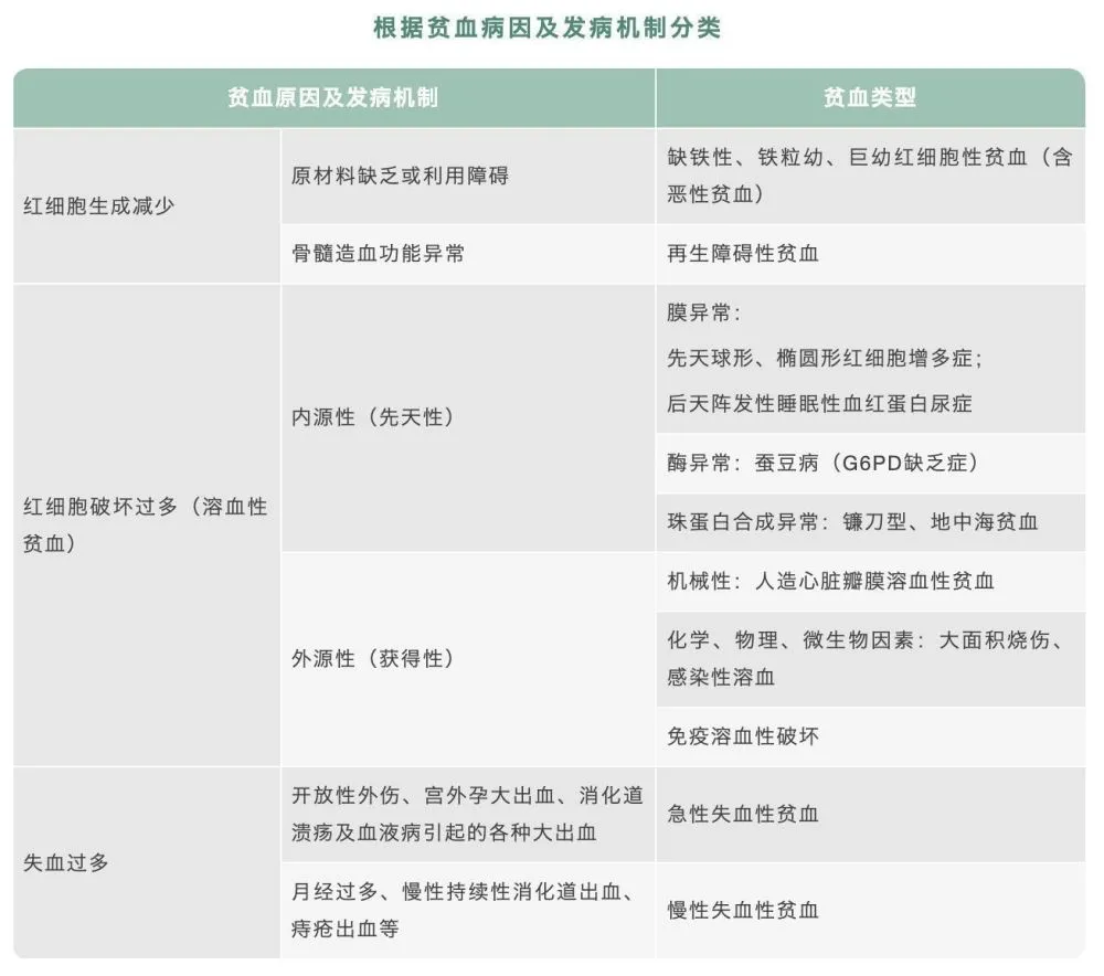 小儿补铁的药有哪些