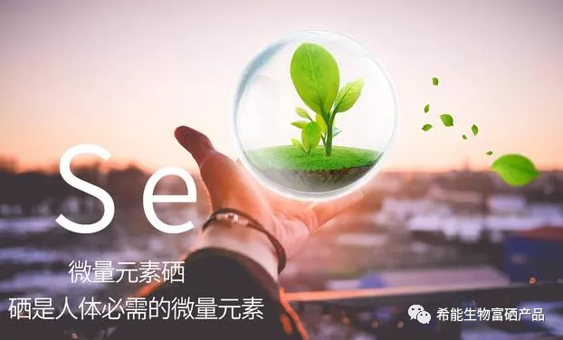 补硒哪个厂家好