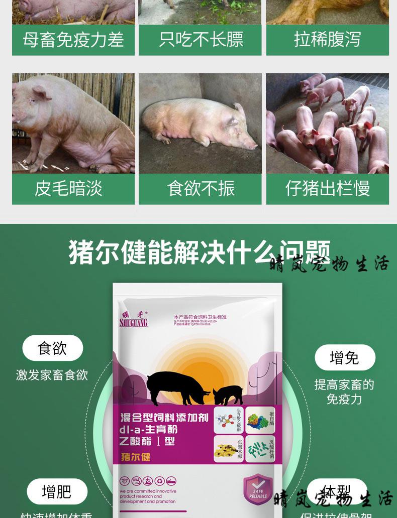 怎么给母猪补硒