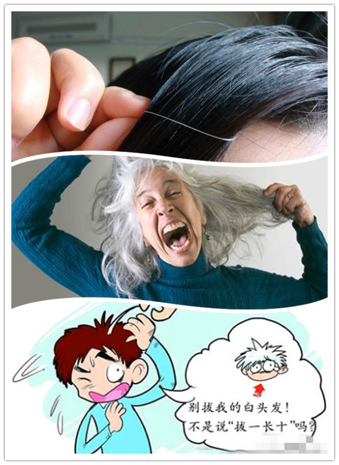 补硒能改善白发