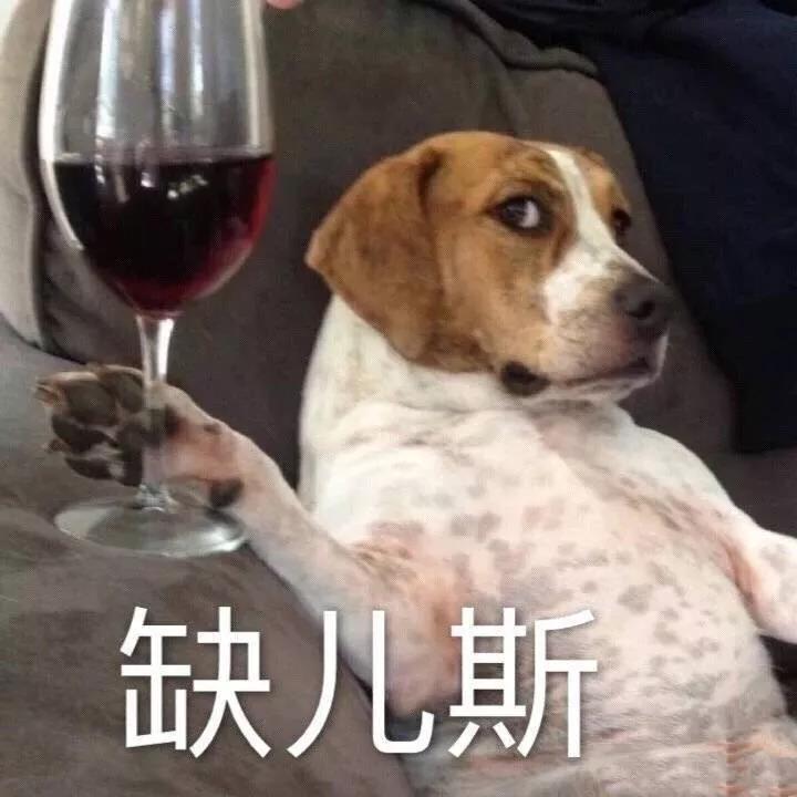 补铁吃什么药最好