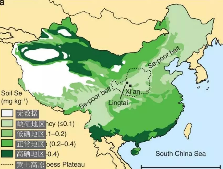 东北、山西、西南等地都属于低硒、或者缺硒地区