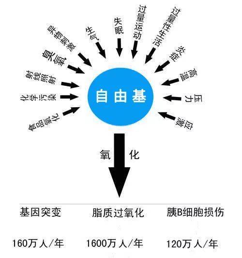 人体该如何补硒