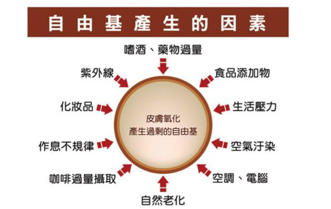 哪种中药能补硒
