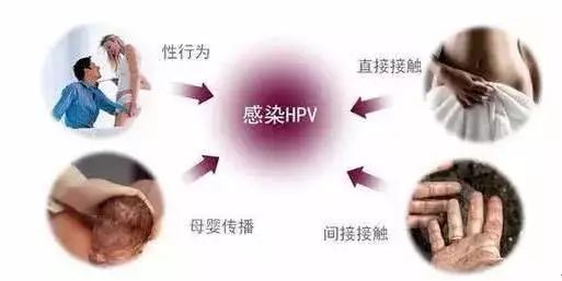 医生让补麦芽硒