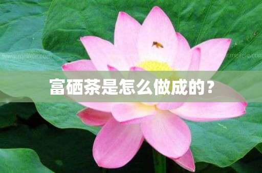 富硒茶是怎么做成的？