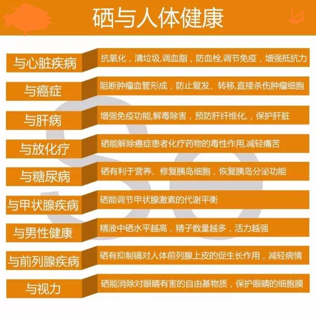 补硒吃多久见效