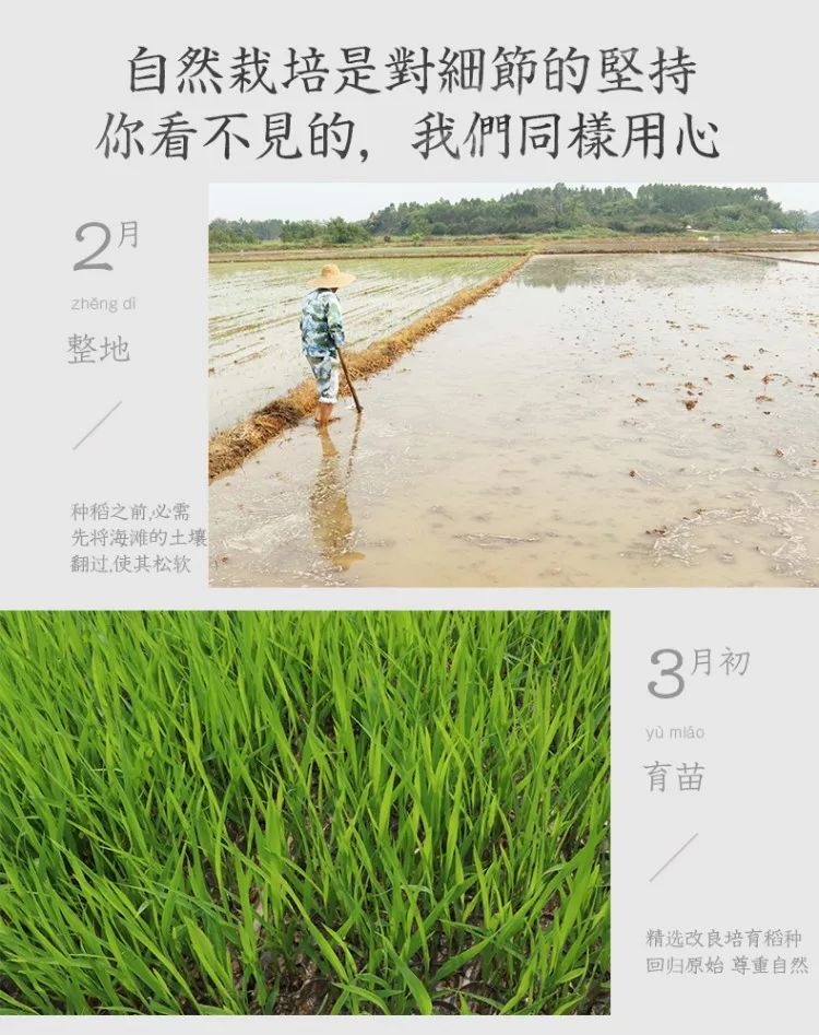 补硒减肥明显吗