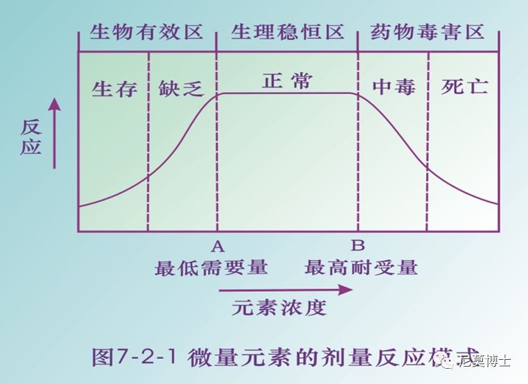 如何选购硒补剂