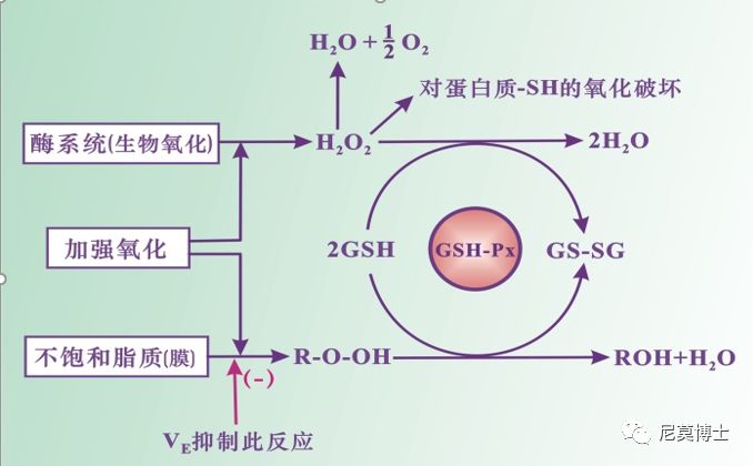 如何选购硒补剂