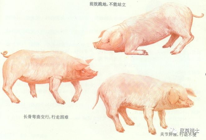 如何选购硒补剂