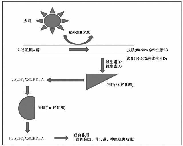 补硒后嘴唇发红