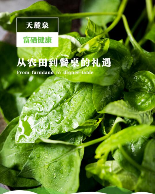 新生牛犊补硒吗