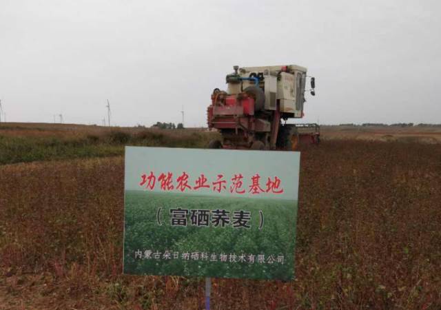 广西有必要补硒