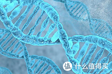 nmn保健品还是药品，nmn的功效与作用，别错过了