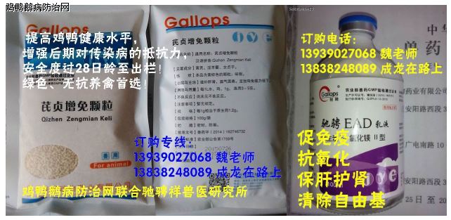 仔猪补硒有哪些