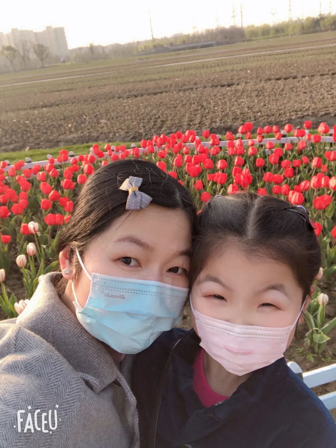 补硒的药品好吗