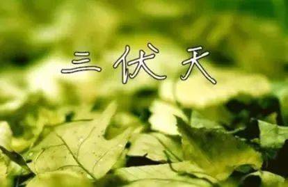 鸡肉可以补硒吗