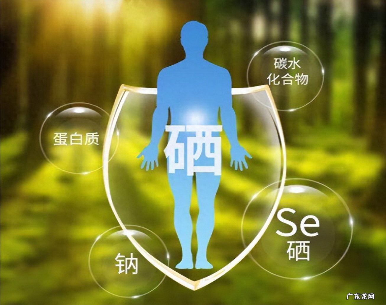 再次提醒：硒是抗癌、增强免疫力的必需元素，多吃3种食物就能补