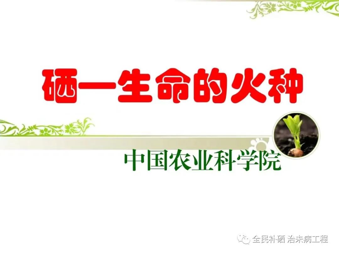 为什么补硒工程