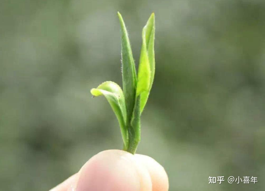 补硒可以壮阳吗