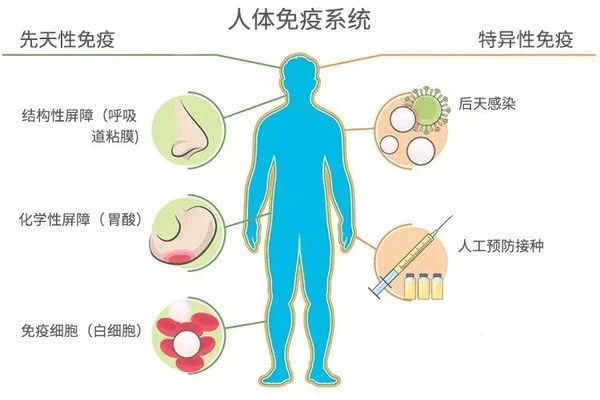 补硒与肠胃疾病