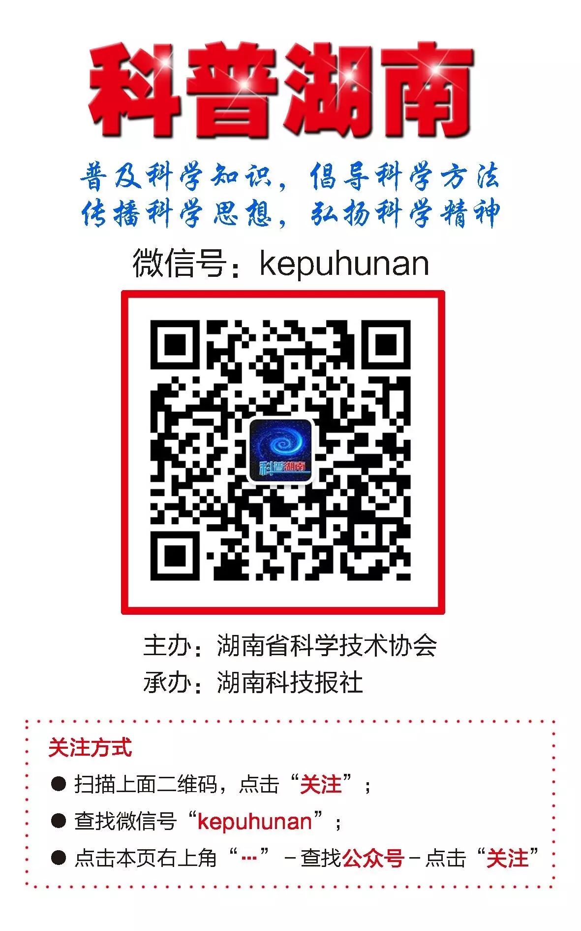 补铁吃什么水果