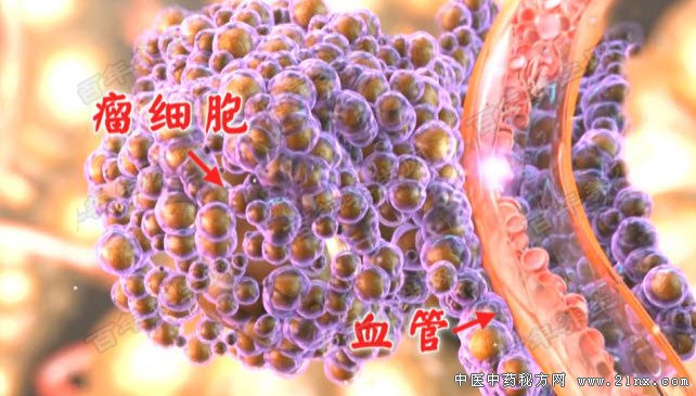 高血脂每天补硒