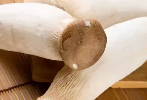 春季补硒的好处
