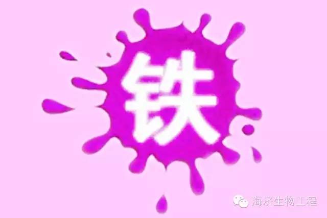 钙铁锌硒不同补