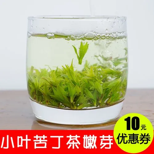 小叶苦丁的功效与作用（小叶苦丁的功效和作用）