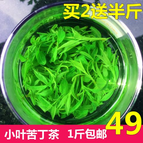 小叶苦丁的功效与作用（小叶苦丁的功效和作用）
