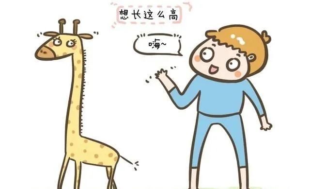 17岁补钙还可以长高吗