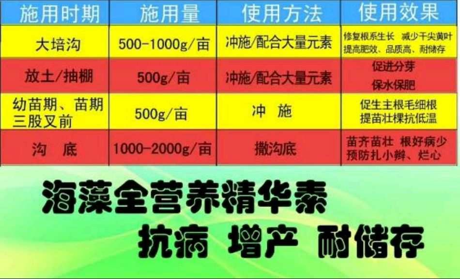 补硒药服用时间