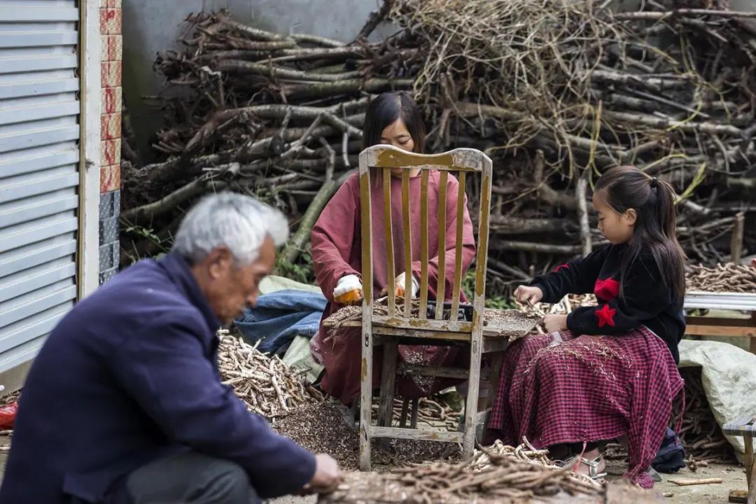 补硒防癌有用吗