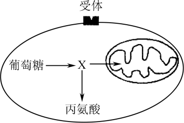 哪些人必需补硒