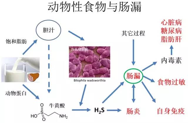 甲减补硒要多久
