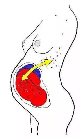 甲减补硒要多久
