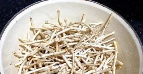 食疔补硒有哪些