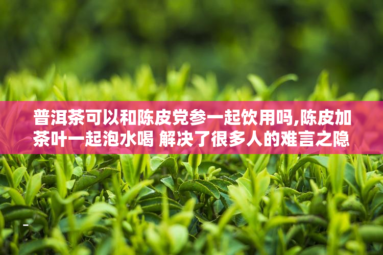 普洱茶可以和陈皮党参一起饮用吗,陈皮加茶叶一起泡水喝 解决了很多人的难言之隐